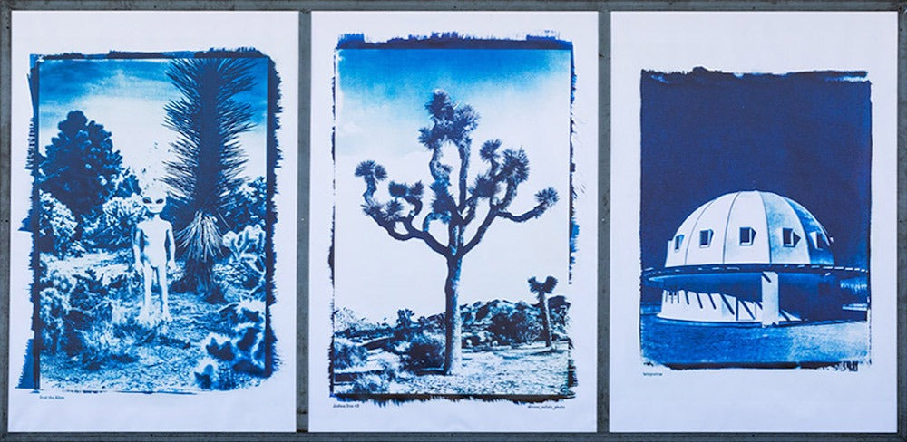 
          
            Mural III: Cyanotype Triptych by Rose Cefalu
          
        