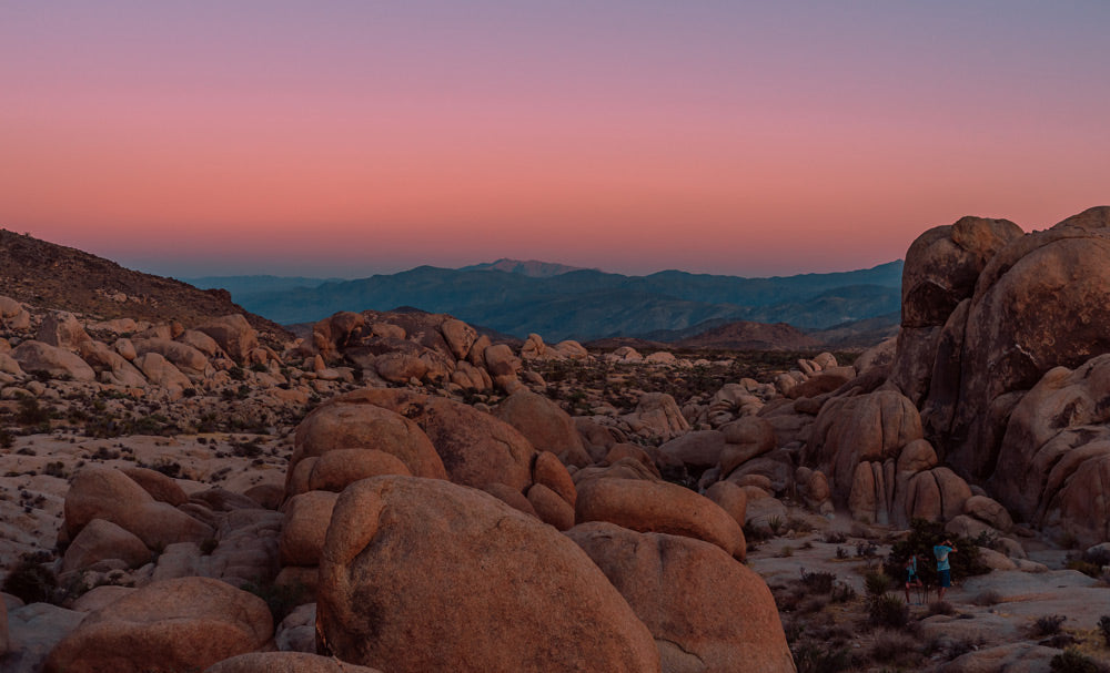 Monzogranite rocks in Joshua Tree National Park with a pink hue from the sunset